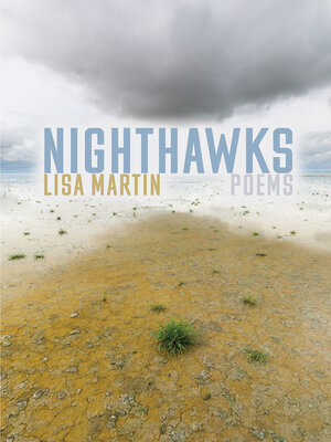 cover image of Nighthawks